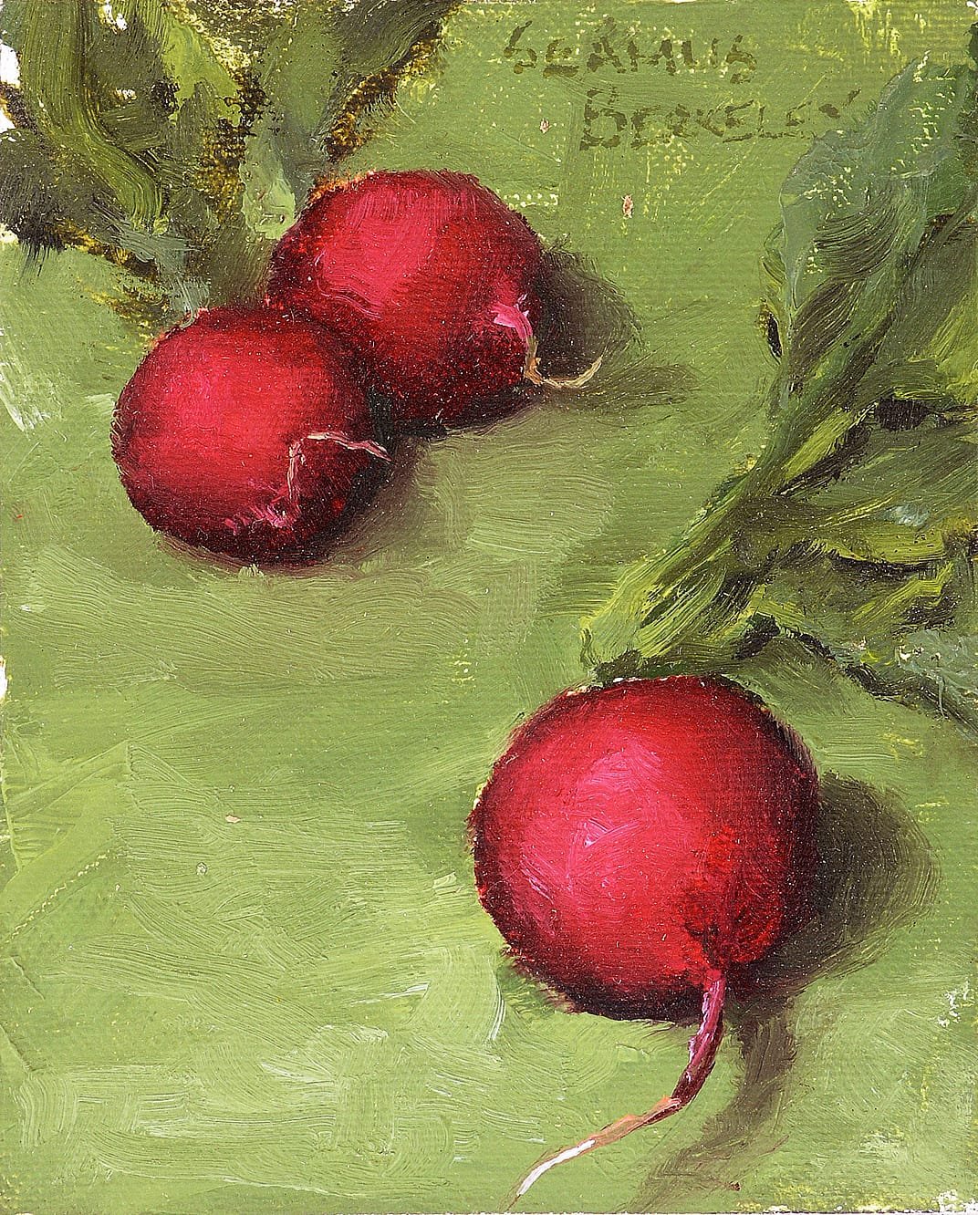 Three Radishes Painting Seamus Berkeley