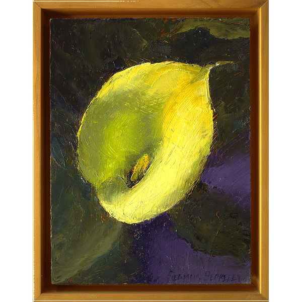 An oil painting of a yellow calla lily, placed against a warm green and dark violet background.