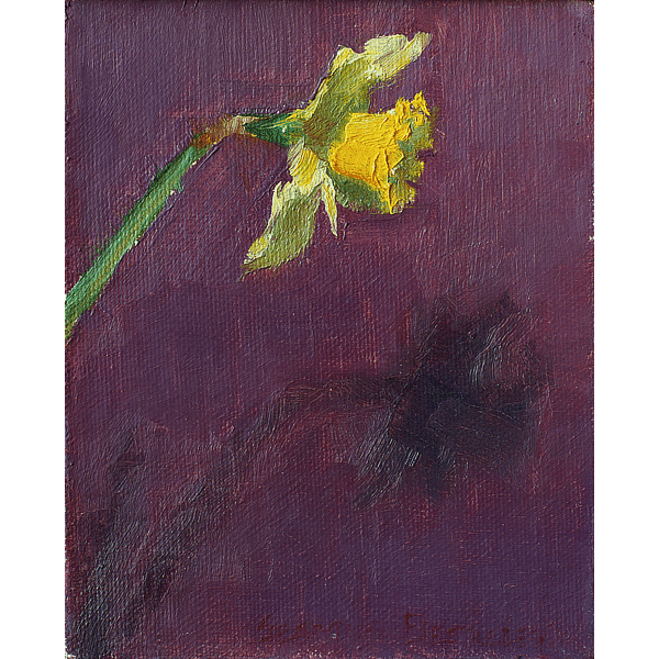 Oil painting of a bright yellow daffodil casting a shadow on a dark purple background.